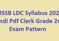 RSMSSB LDC Syllabus 2022 in Hindi Pdf Clerk Grade 2nd Exam Pattern